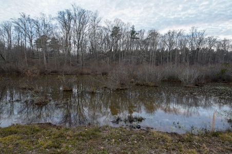Enlarge photo 102