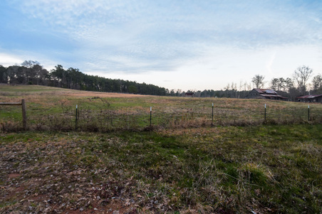Enlarge photo 99