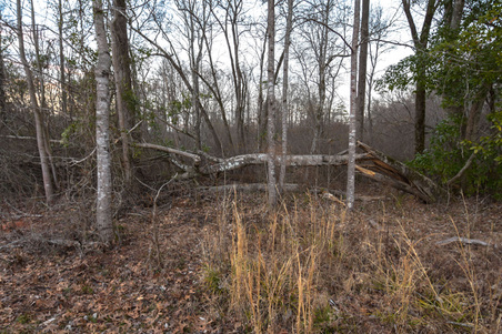 Enlarge photo 98