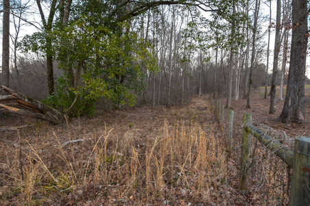 Enlarge photo 97