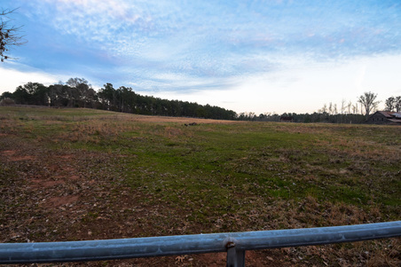 Enlarge photo 95