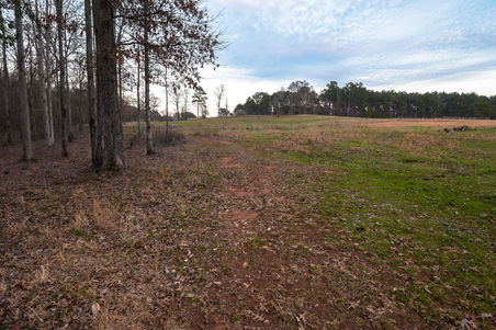Enlarge photo 93