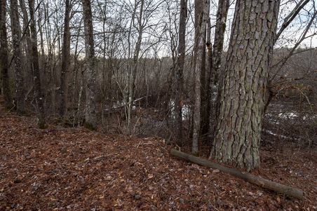 Enlarge photo 85
