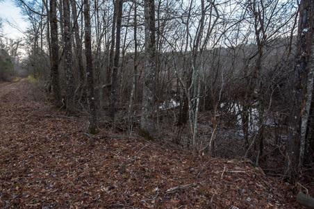 Enlarge photo 84