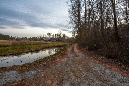Enlarge photo 74
