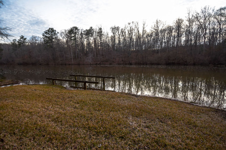 Enlarge photo 71