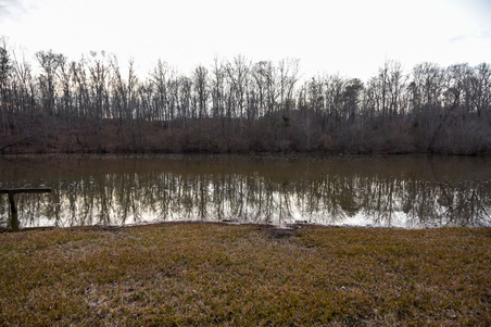 Enlarge photo 70