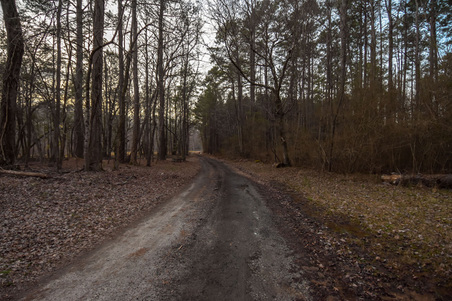 Enlarge photo 68