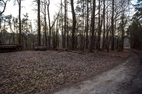 Enlarge photo 67