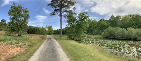Enlarge photo 52