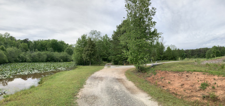 Enlarge photo 53
