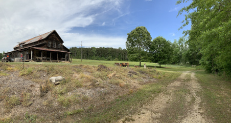 Enlarge photo 51