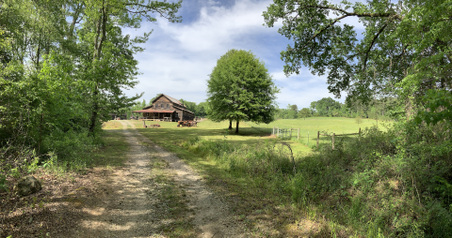 Enlarge photo 48