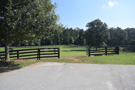 Enlarge photo 24