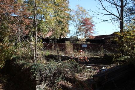 Enlarge photo 75
