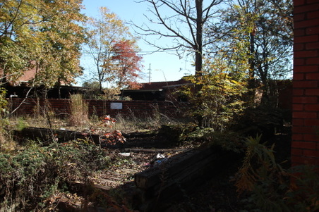 Enlarge photo 74