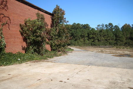Enlarge photo 56