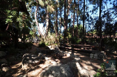 Enlarge photo 106