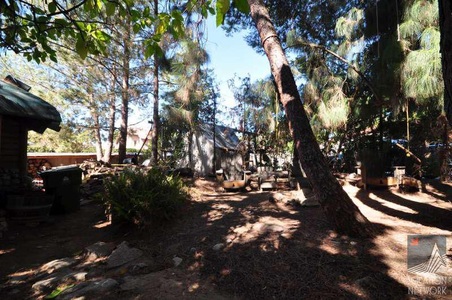 Enlarge photo 107
