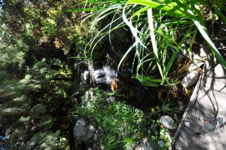 Enlarge photo 121