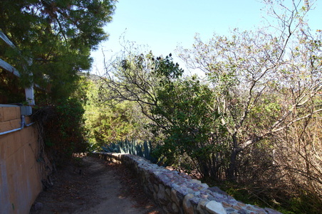 Enlarge photo 5