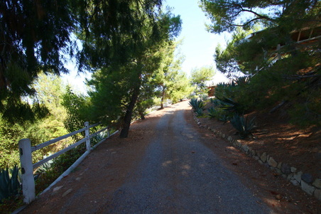 Enlarge photo 7