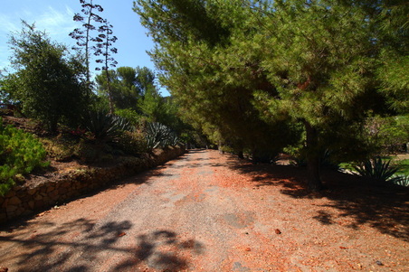 Enlarge photo 9
