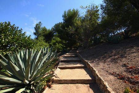 Enlarge photo 10