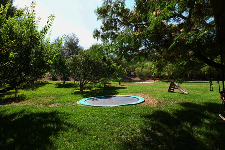 Enlarge photo 11