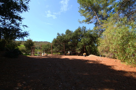 Enlarge photo 19