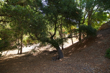 Enlarge photo 20