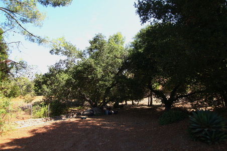 Enlarge photo 21