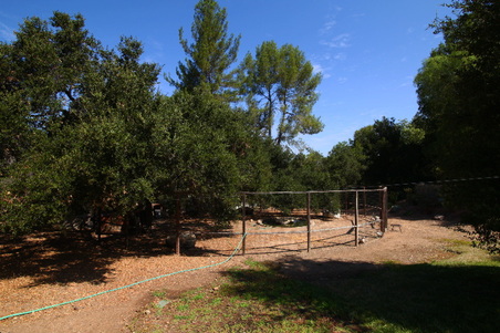 Enlarge photo 22
