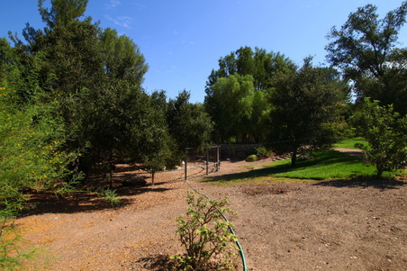 Enlarge photo 23