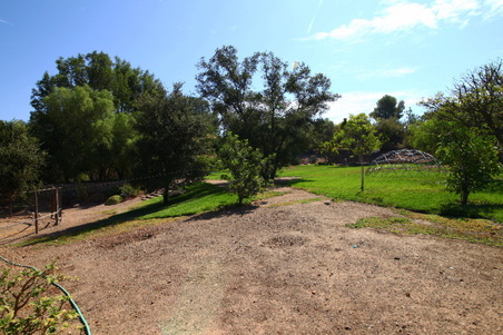 Enlarge photo 24
