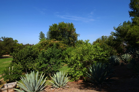 Enlarge photo 29