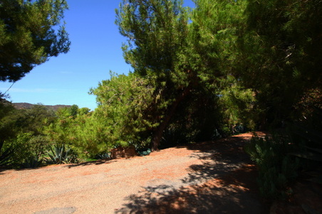 Enlarge photo 31