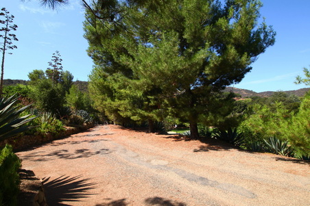 Enlarge photo 32
