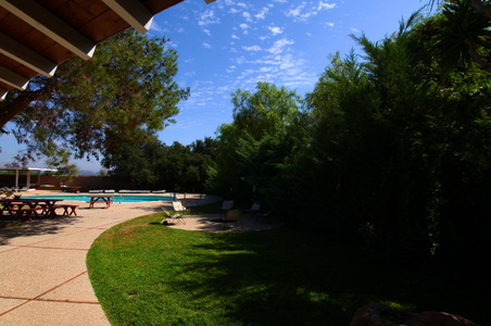 Enlarge photo 65