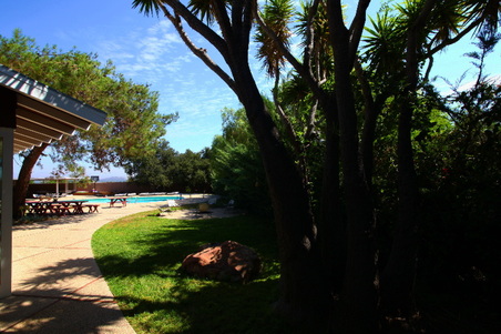 Enlarge photo 67