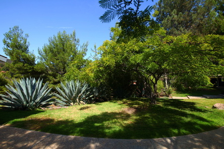 Enlarge photo 87