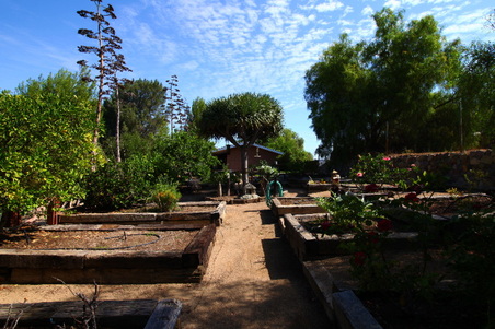 Enlarge photo 91