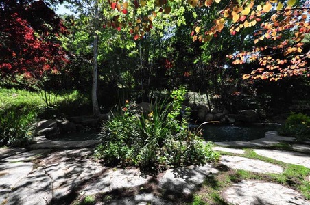Enlarge photo 73