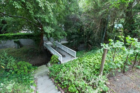 Enlarge photo 65