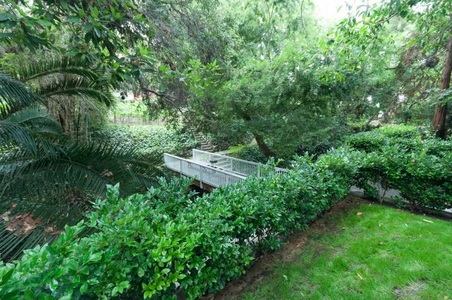 Enlarge photo 73