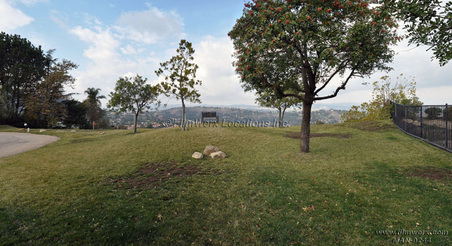 Enlarge photo 28