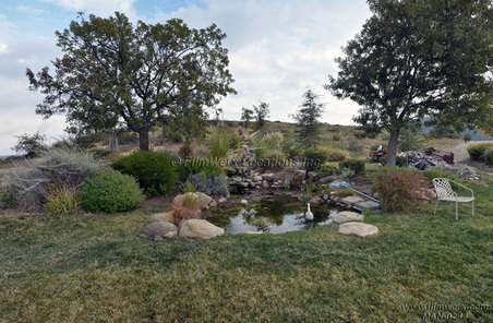 Enlarge photo 69