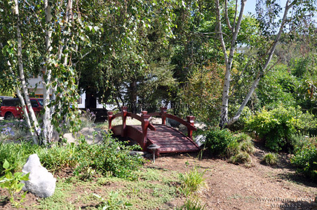 Enlarge photo 26