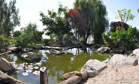 Enlarge photo 27