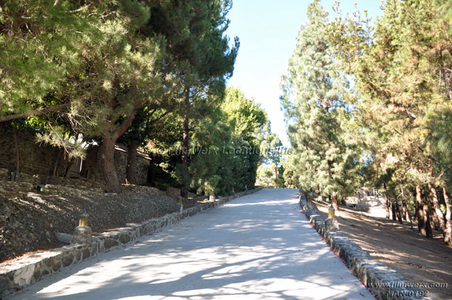 Enlarge photo 3